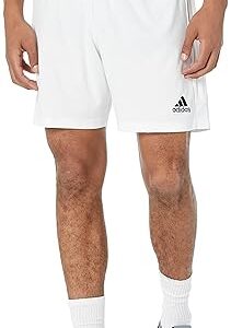 Adidas Men's Tastigo Shorts